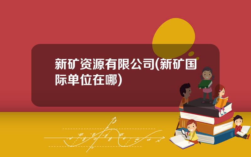 新矿资源有限公司(新矿国际单位在哪)