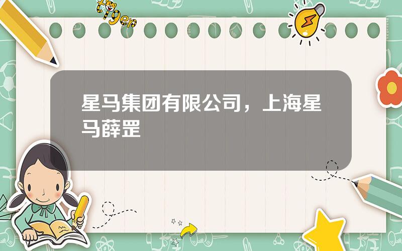 星马集团有限公司，上海星马薛罡