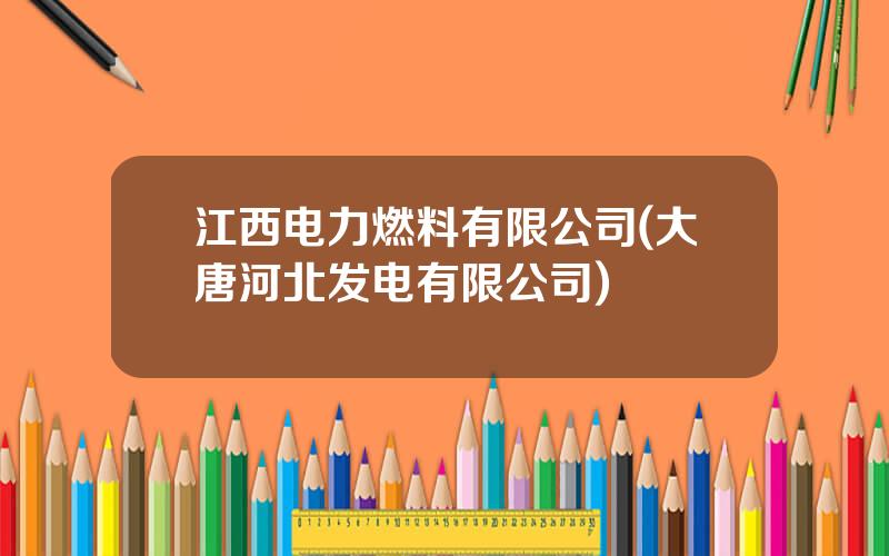 江西电力燃料有限公司(大唐河北发电有限公司)