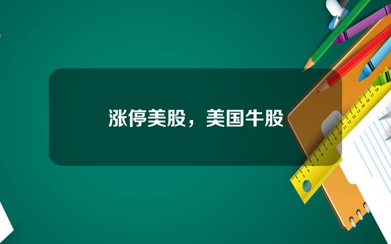 涨停美股，美国牛股
