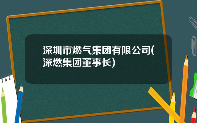 深圳市燃气集团有限公司(深燃集团董事长)