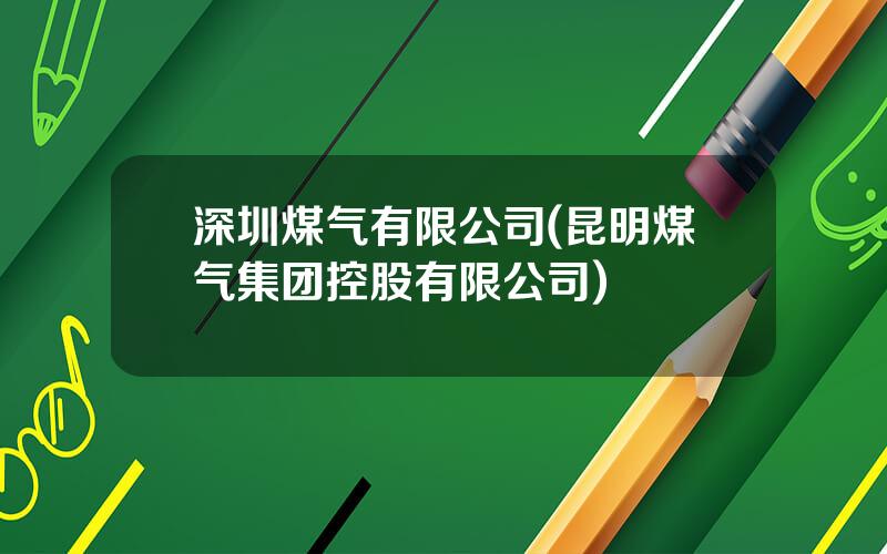 深圳煤气有限公司(昆明煤气集团控股有限公司)