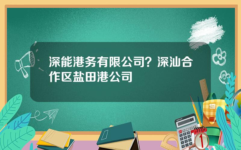 深能港务有限公司？深汕合作区盐田港公司