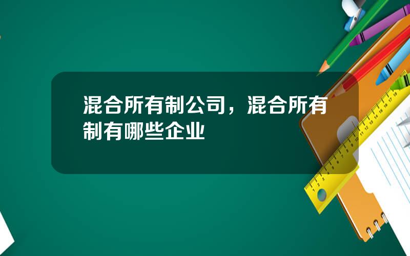 混合所有制公司，混合所有制有哪些企业