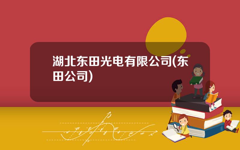 湖北东田光电有限公司(东田公司)