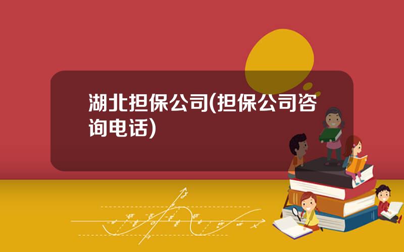 湖北担保公司(担保公司咨询电话)