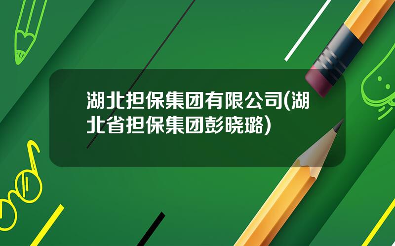 湖北担保集团有限公司(湖北省担保集团彭晓璐)