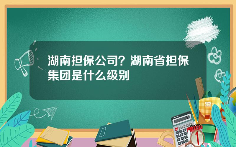 湖南担保公司？湖南省担保集团是什么级别