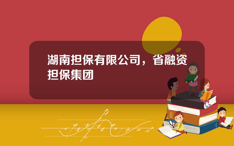 湖南担保有限公司，省融资担保集团