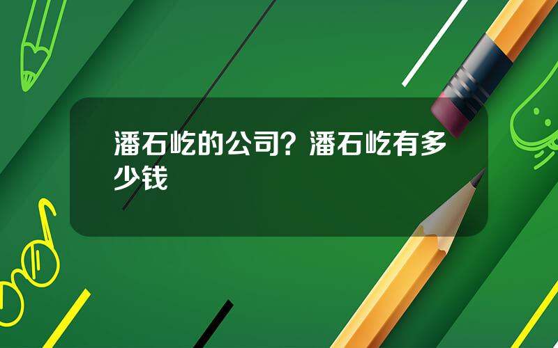 潘石屹的公司？潘石屹有多少钱