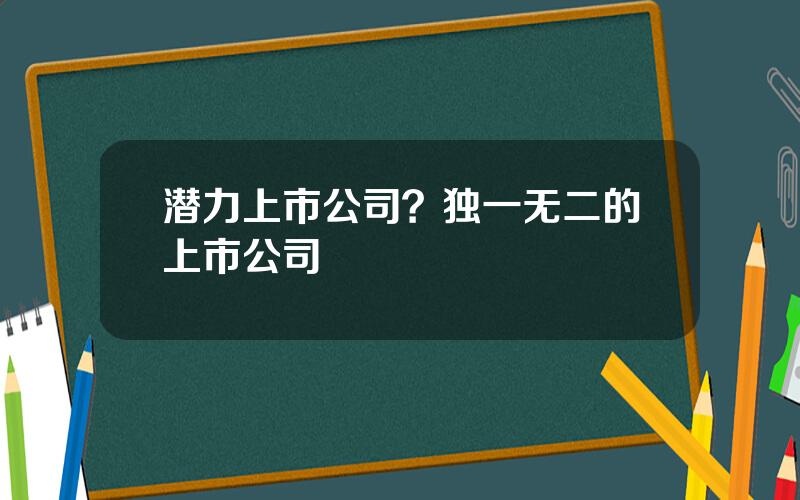 潜力上市公司？独一无二的上市公司
