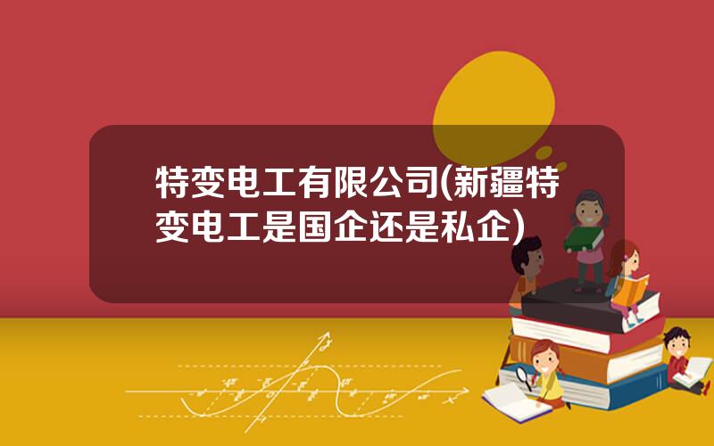 特变电工有限公司(新疆特变电工是国企还是私企)