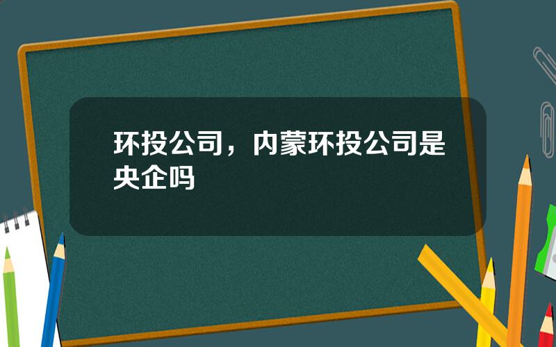 环投公司，内蒙环投公司是央企吗