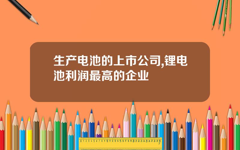 生产电池的上市公司,锂电池利润最高的企业