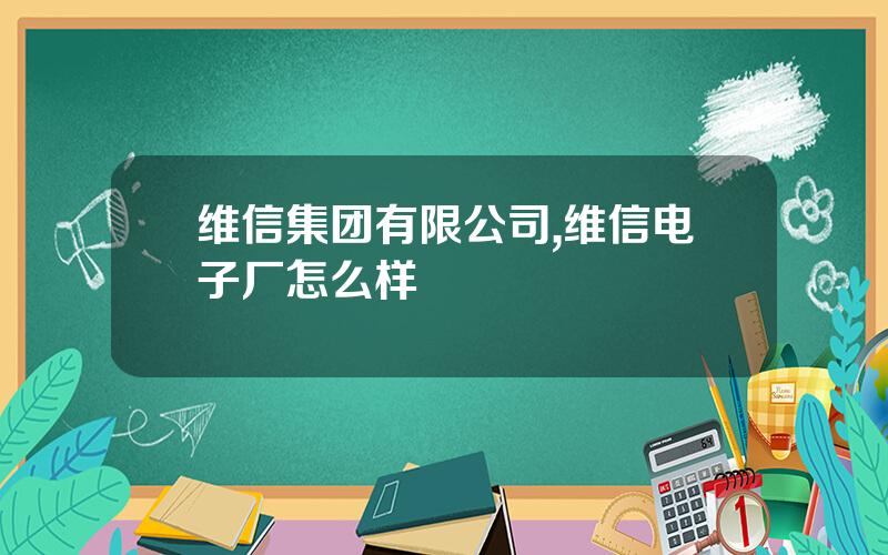 维信集团有限公司,维信电子厂怎么样