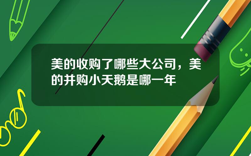 美的收购了哪些大公司，美的并购小天鹅是哪一年