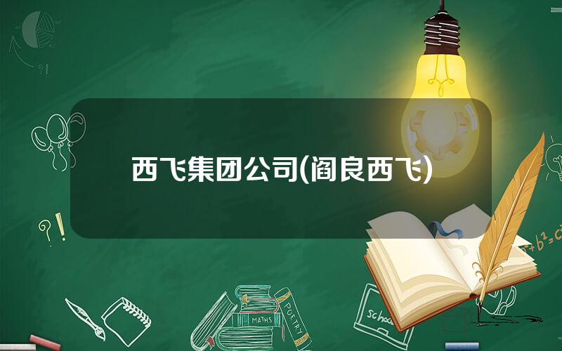 西飞集团公司(阎良西飞)